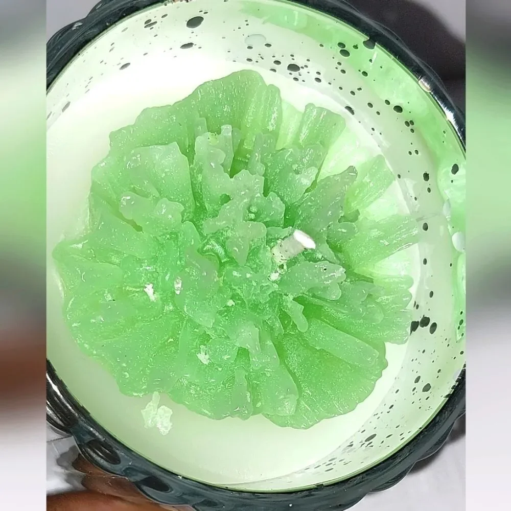 Hand crafted Enchanted Forrest limited edition candle 8oz